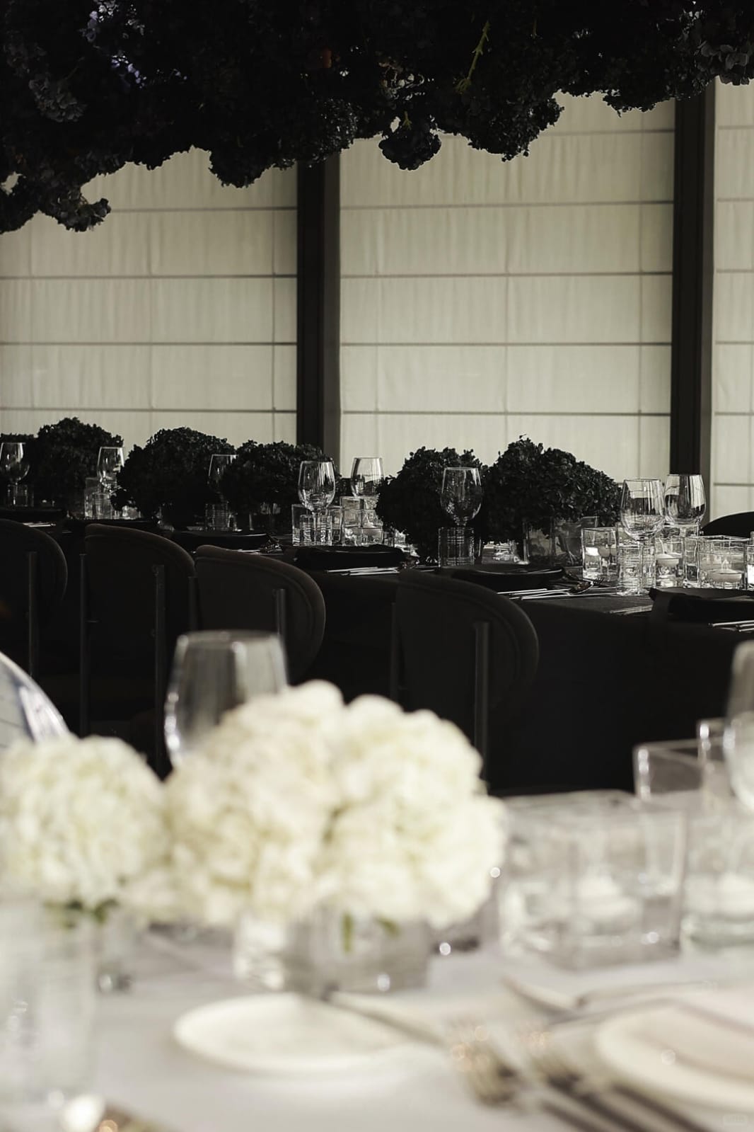 VIP Event Vertical 2